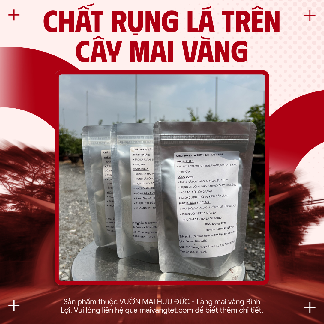 CHẤT RỤNG LÁ TRÊN CÂY MAI VÀNG