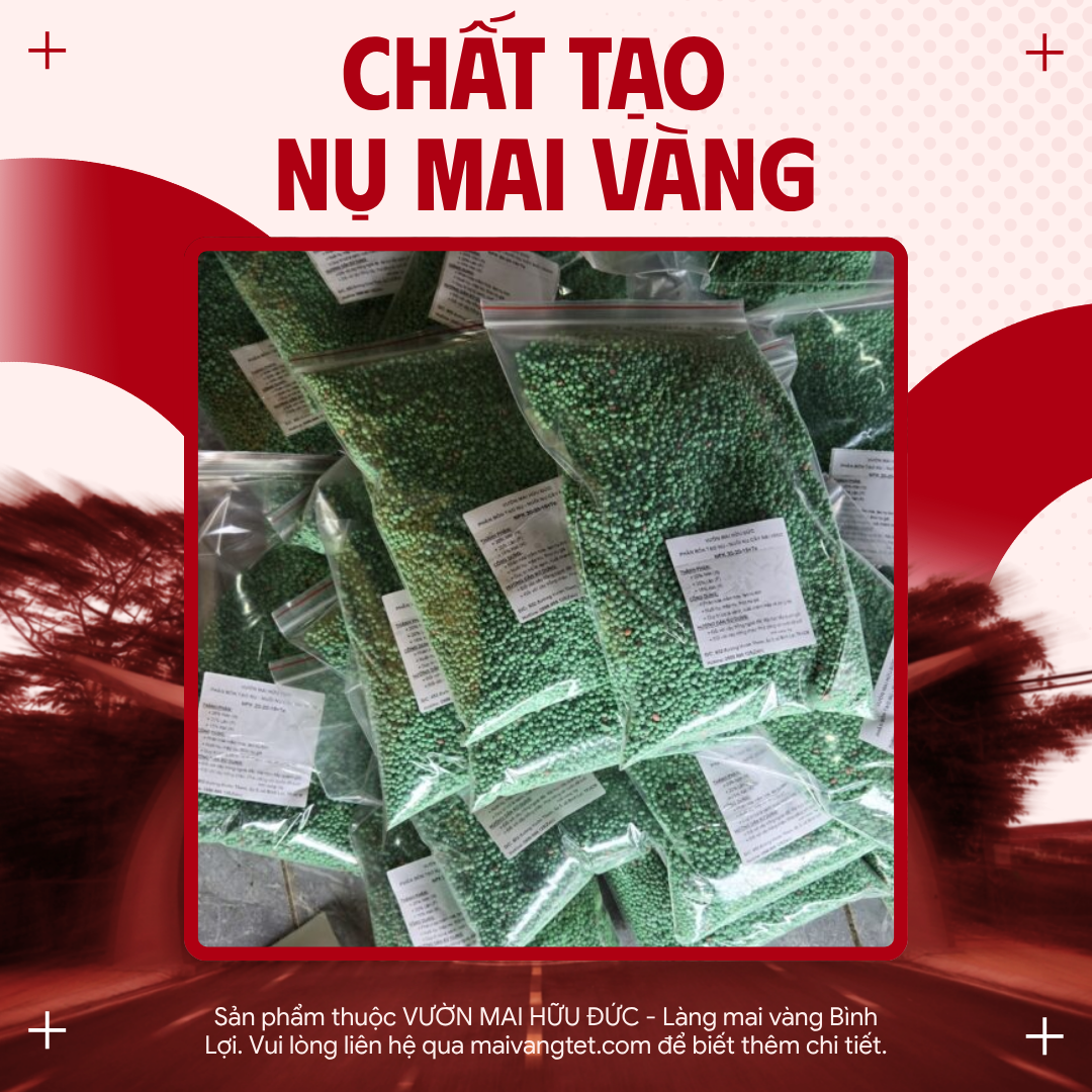CHẤT TẠO NỤ MAI VÀNG