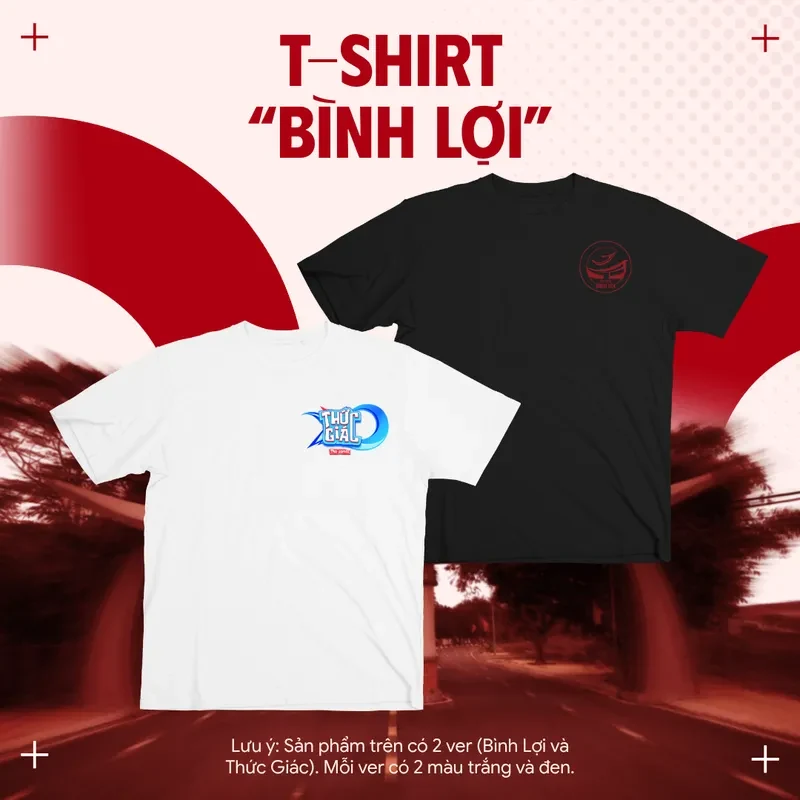 ÁO THUN DU LỊCH BÌNH LỢI