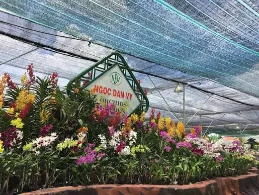 Vườn Phong Lan Ngọc Đan Vy